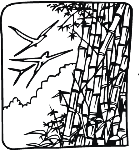 Bamboo And Birds Coloring Page